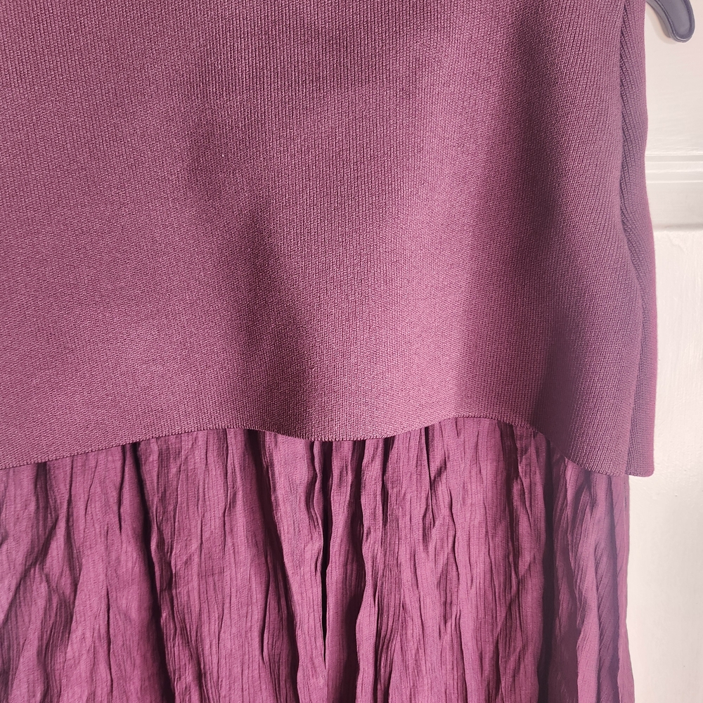 Zara Burgundy Pleated Maxi Skirt - Picture 3 of 7